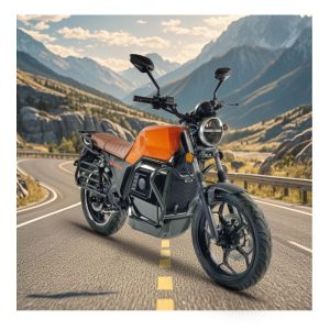 VIMODE 2024 Wholesale 2000W 3000W Retro Electric Racing Motorcycle Fast Electric Motorbike for Adult