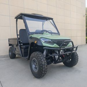 2-Wheel Drive EEC Certified Adult Electric UTV Automatic Transmission 4WD for Sale Made in China